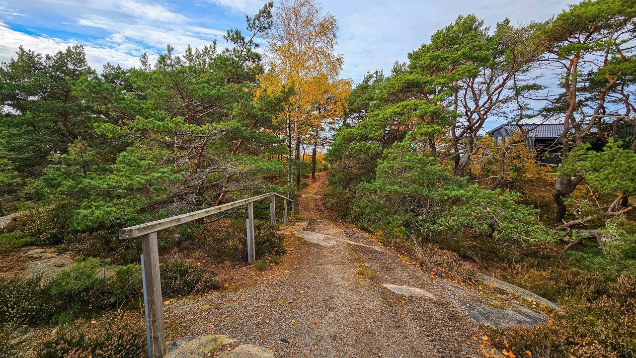 Photo of Others in Gressvik