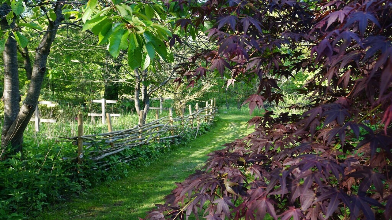 Photo of Outdoor in Andrarum