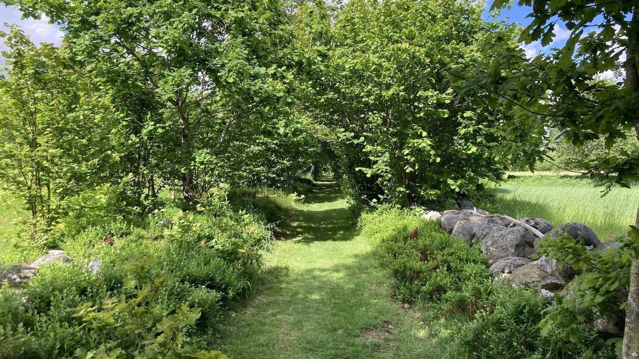 Photo of Outdoor in Andrarum