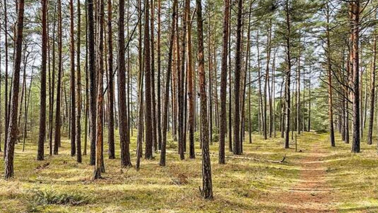 Photo of Outdoor in Andrarum