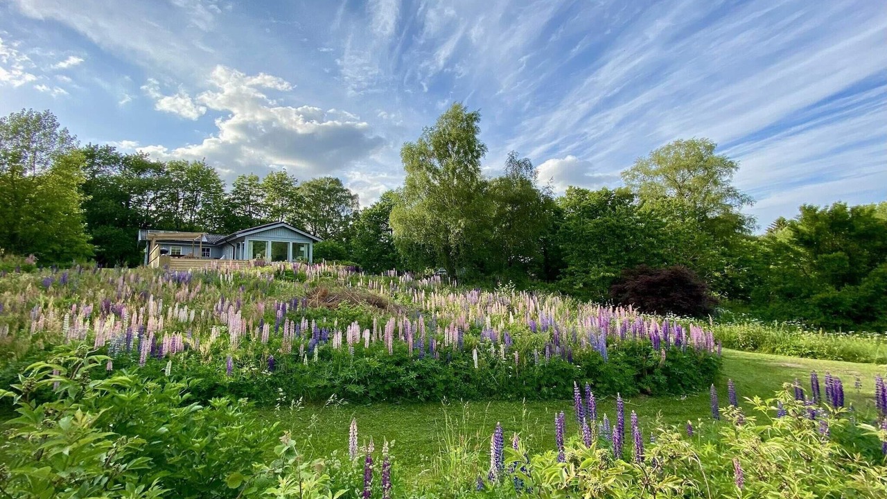 Photo of Outdoor in Andrarum