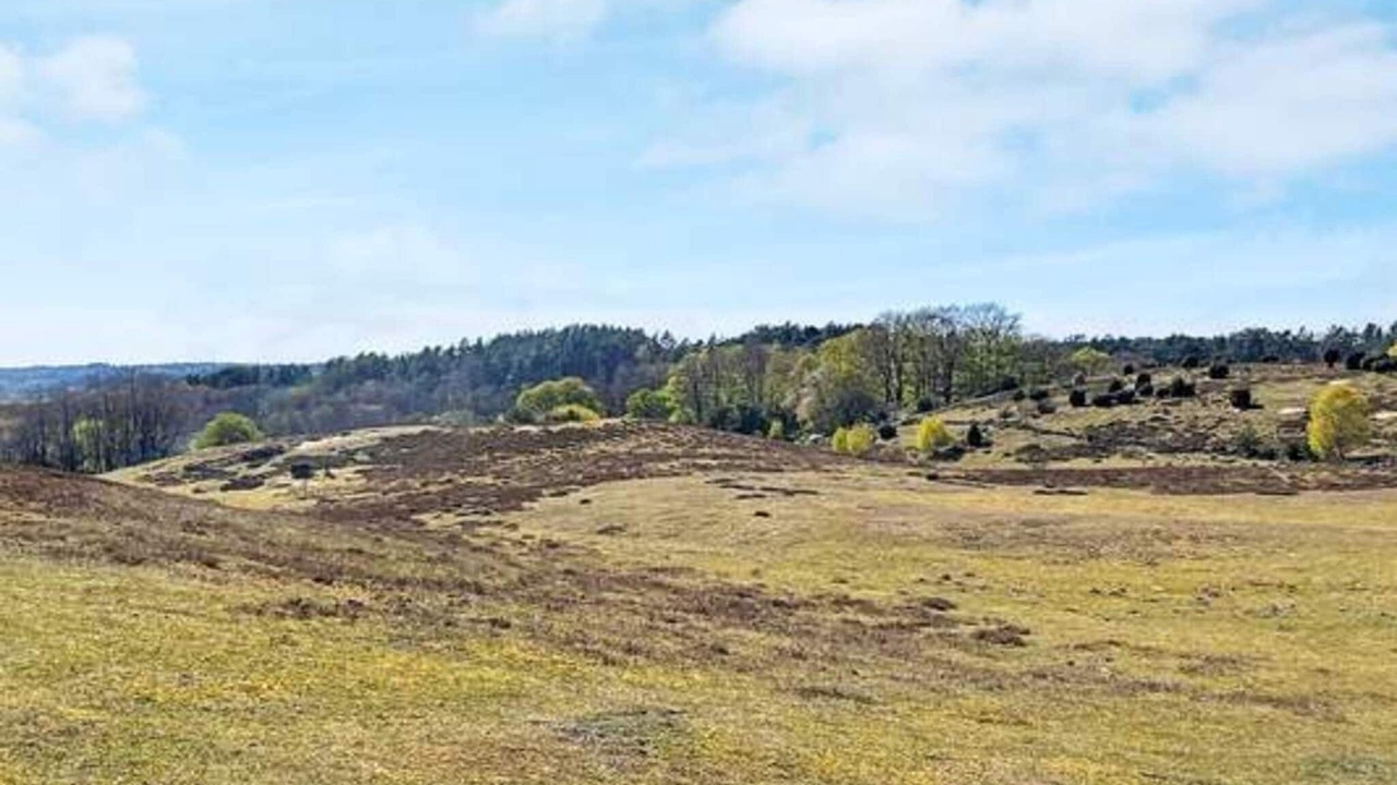 Photo of Outdoor in Andrarum