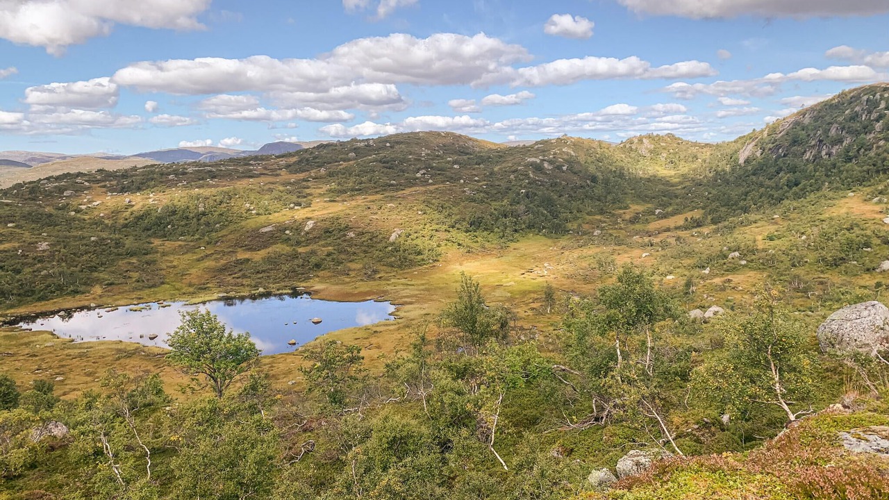 Photo of Others in Fidjeland