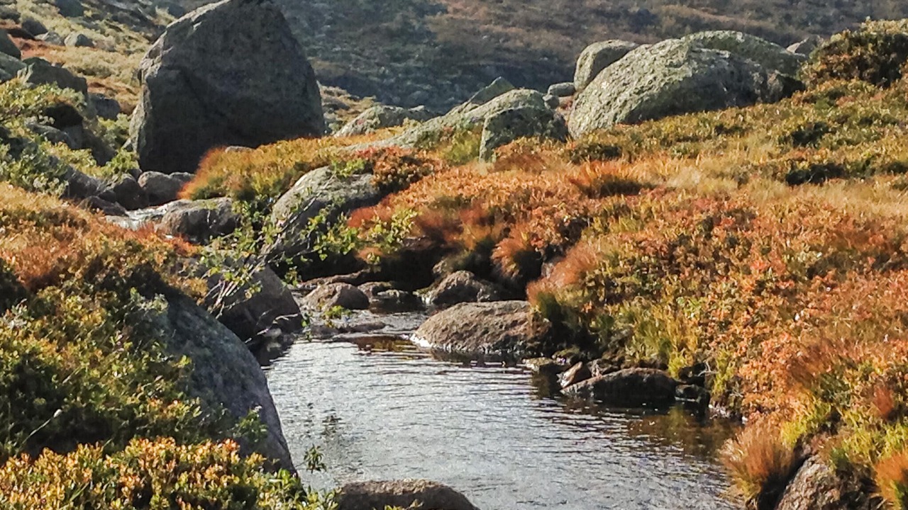Photo of Others in Fidjeland