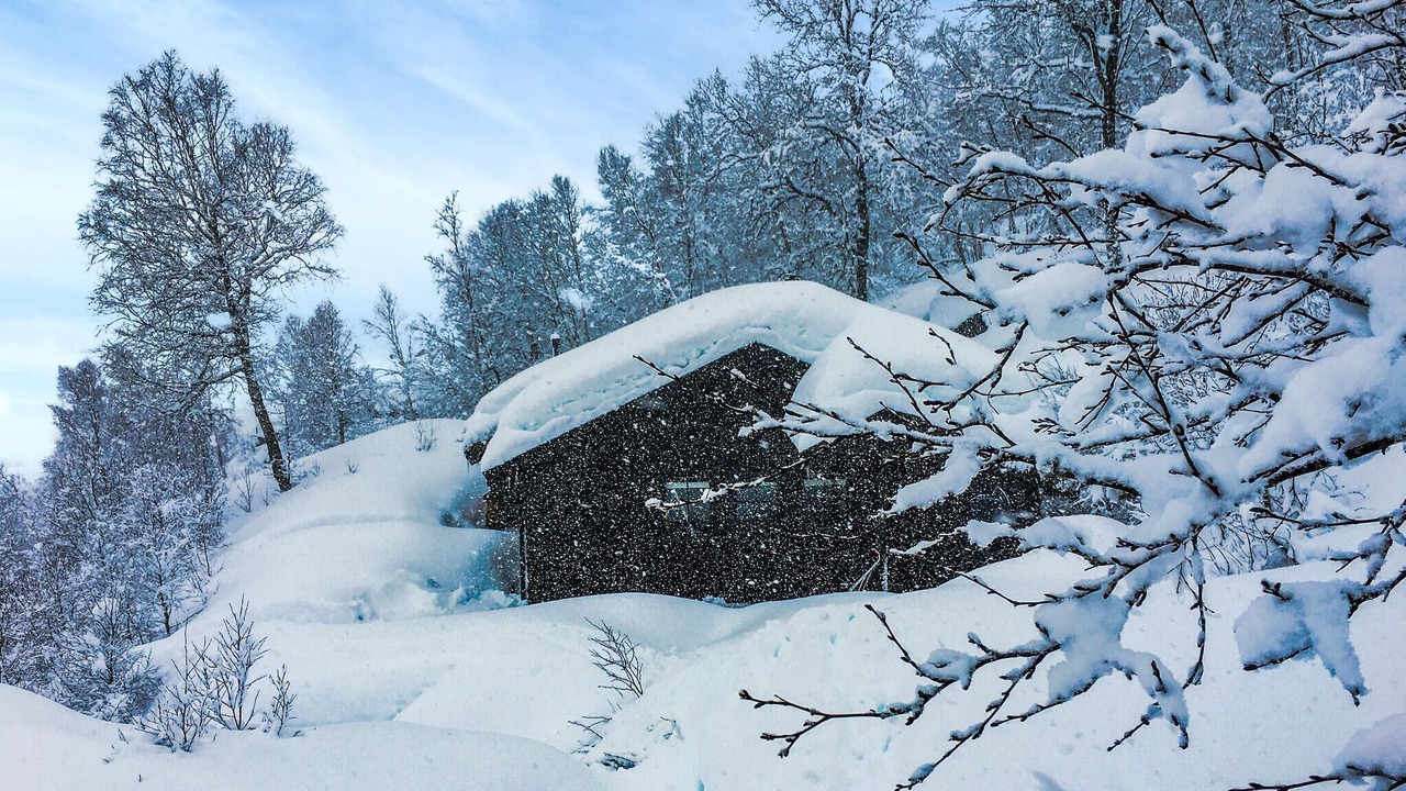 Photo of Others in Fidjeland