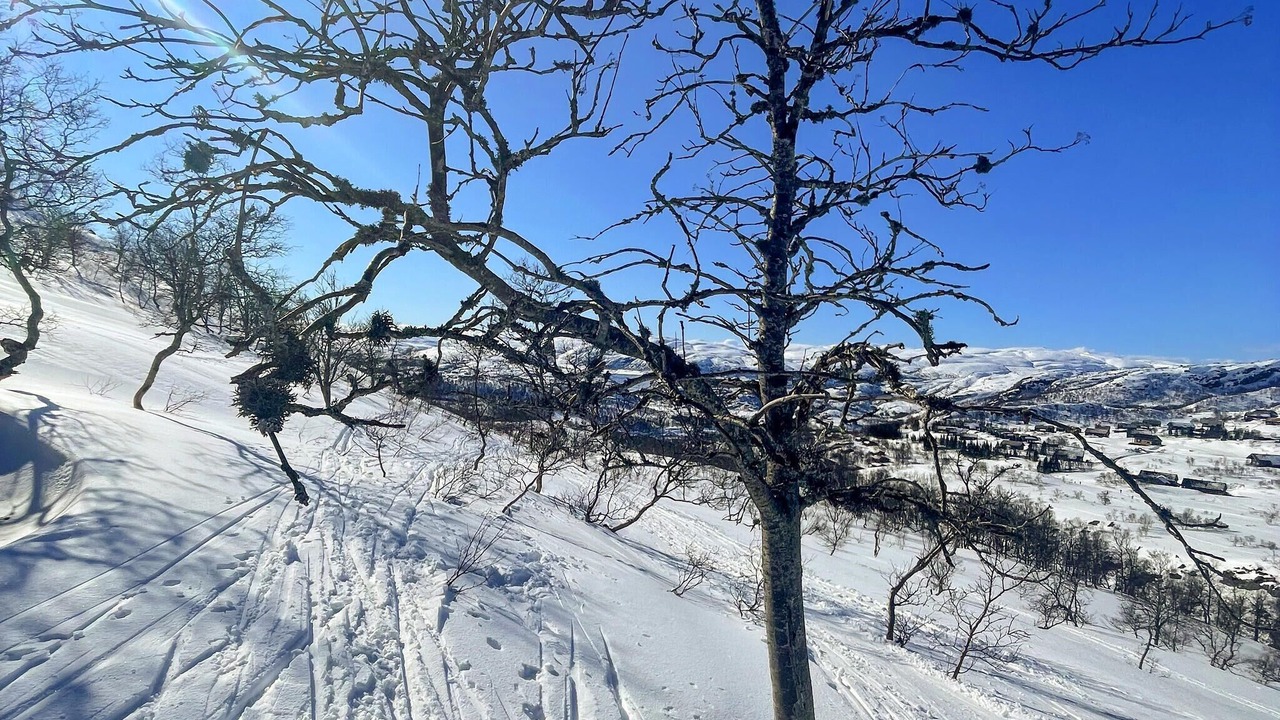 Photo of Others in Fidjeland