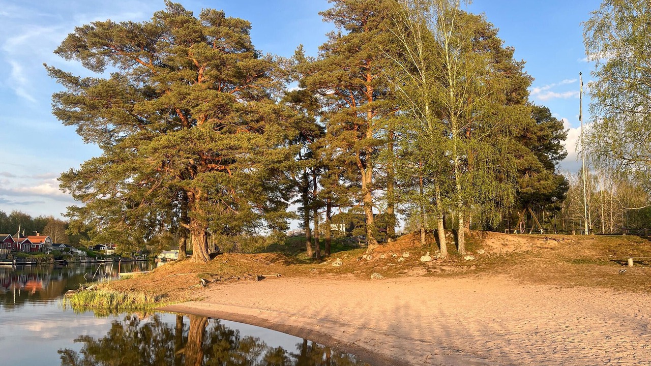 Photo of Others in Husby-Rekarne