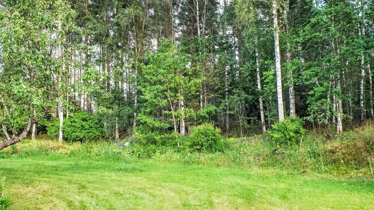 Photo of Others in Alstermo