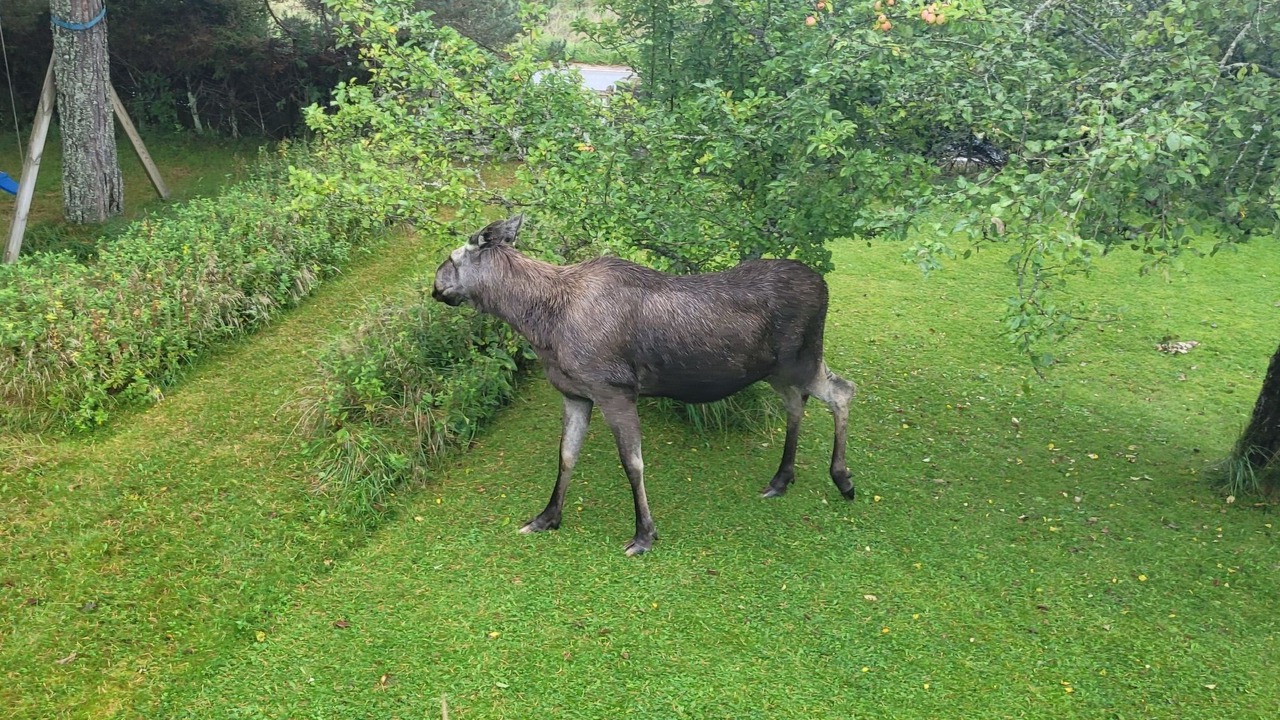 Photo of Others in Katebol