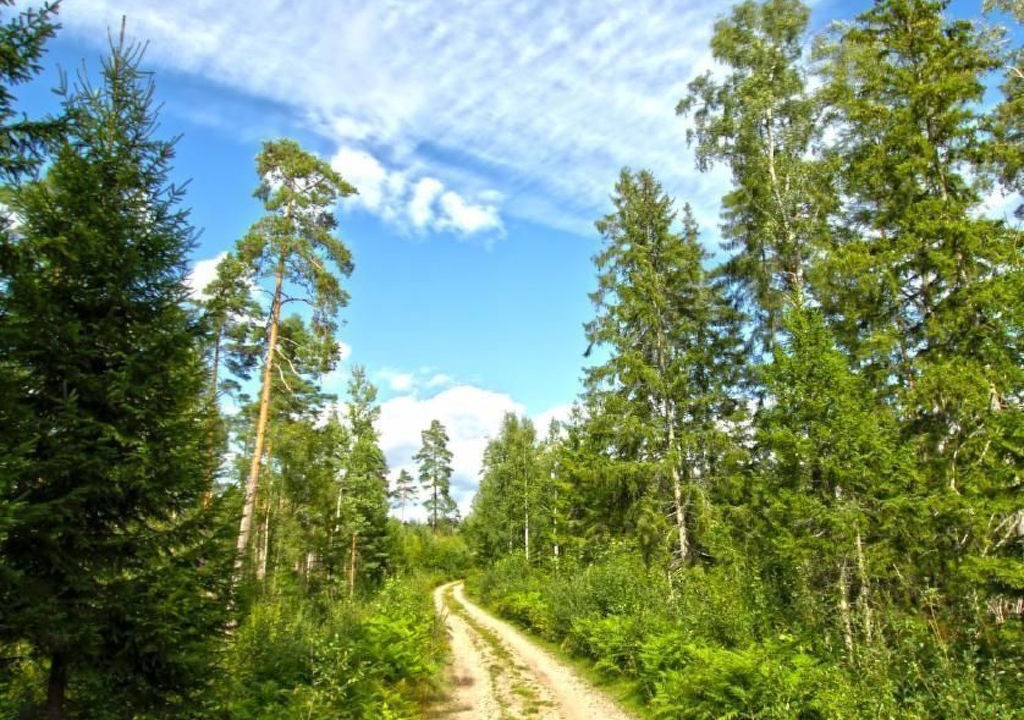 Photo of Others in Vrigstad