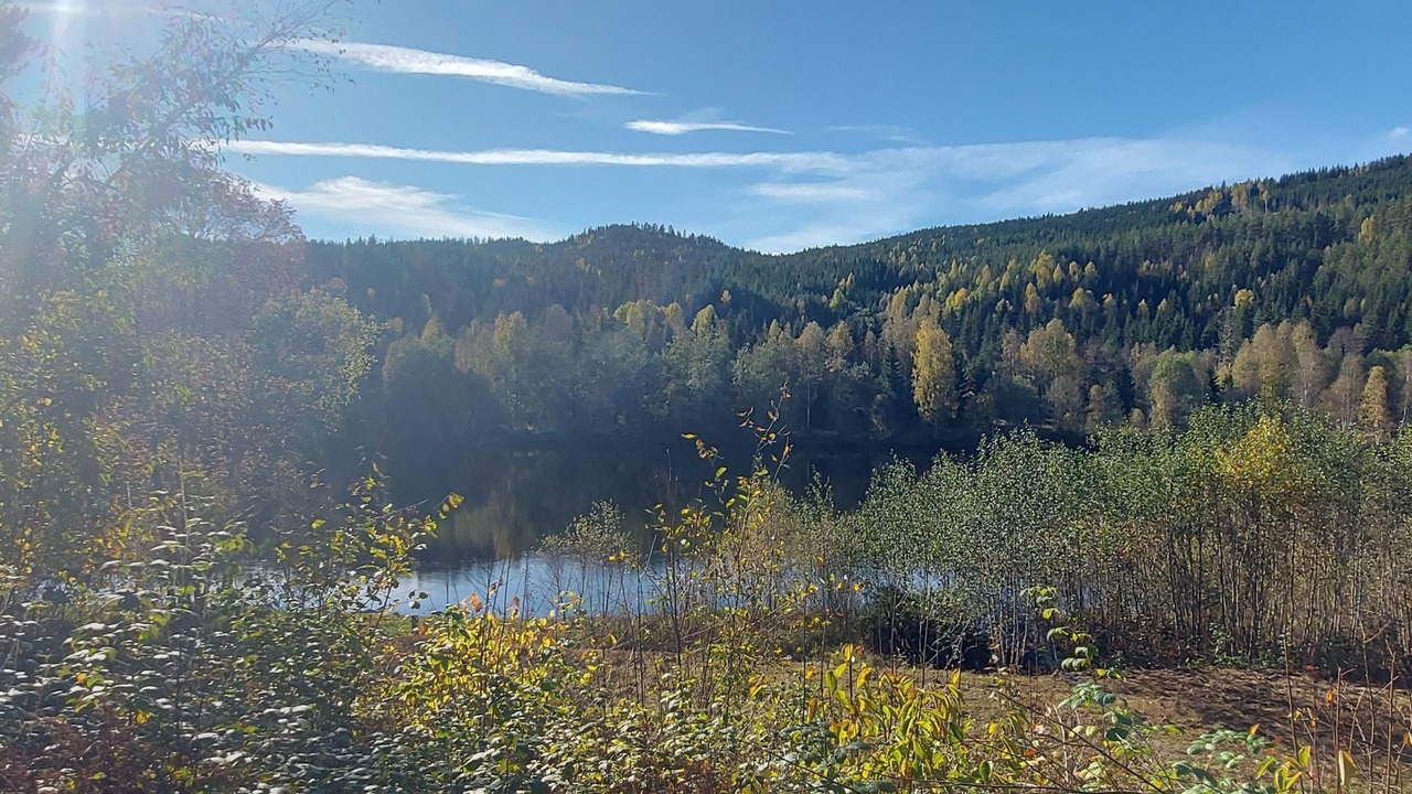 Photo of Others in Torsby O
