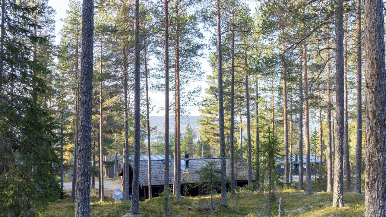 Photo of Others in Lofsdalen