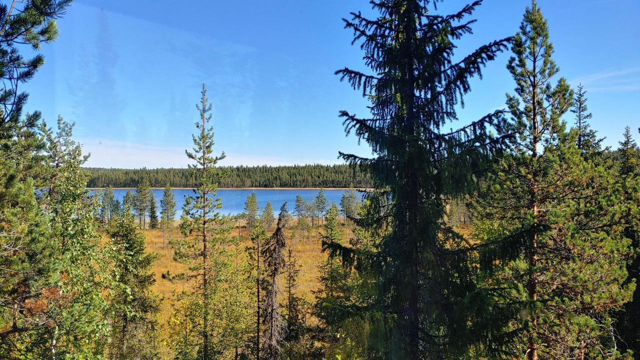 Photo of Others in Arjeplog O