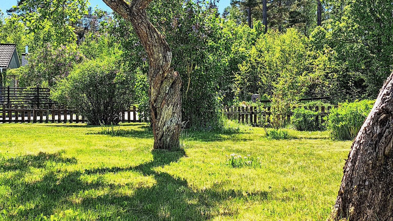 Photo of Others in Fagelfors