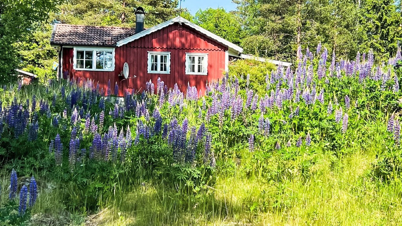 Photo of Others in Svenljunga