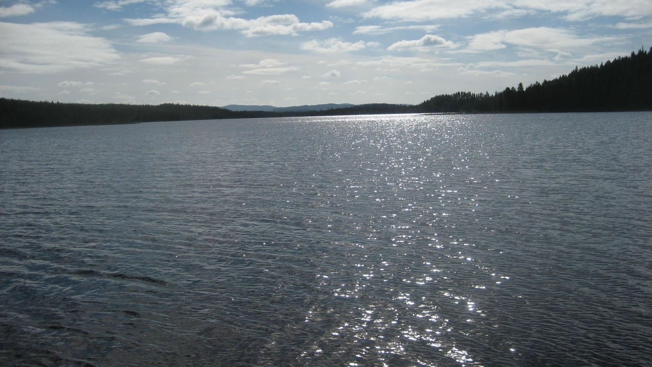 Photo of Others in Arjeplog O