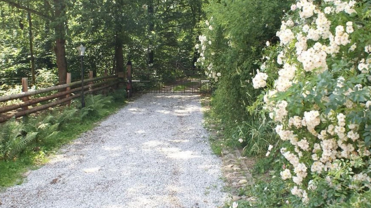 Photo of Others in Hoor