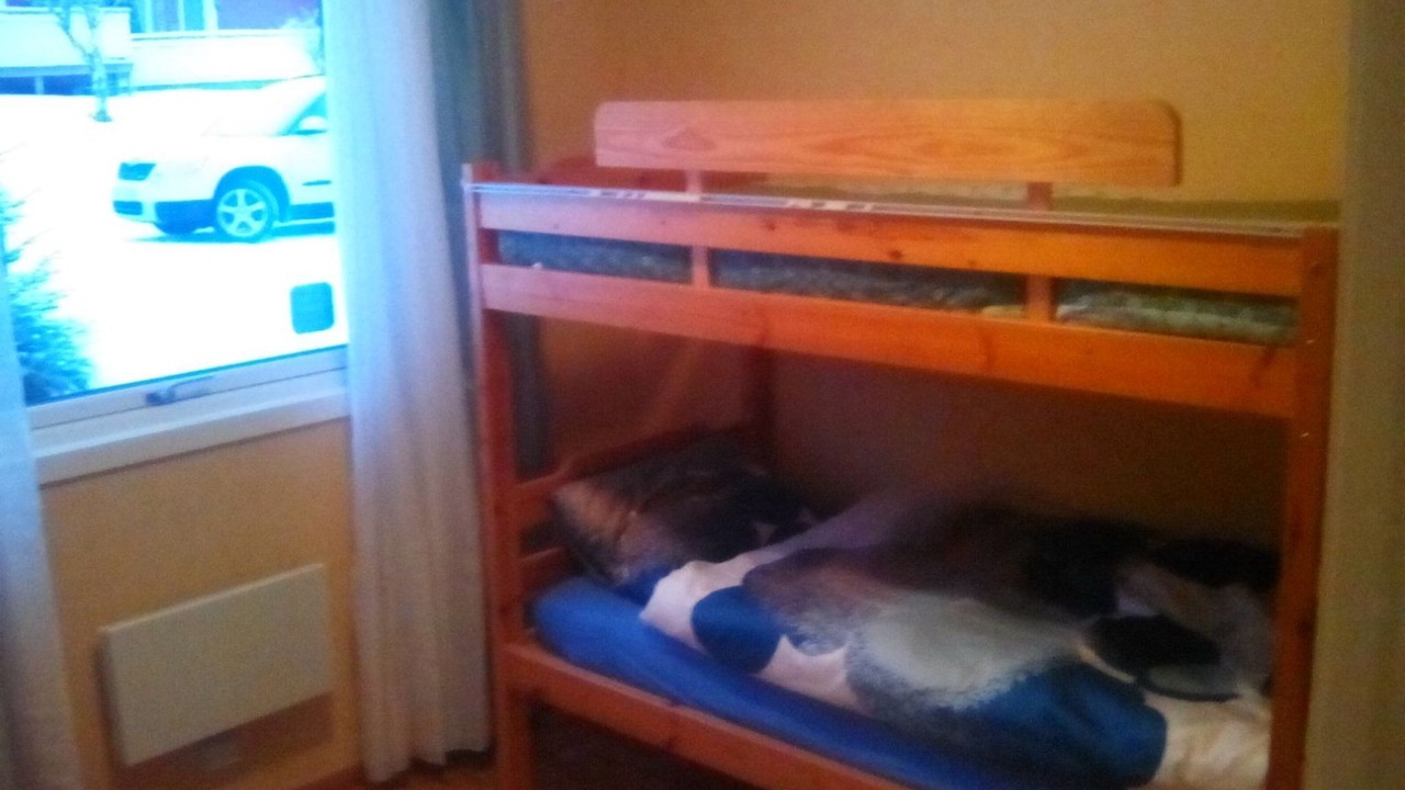 Photo of Bedroom in Brasstorp