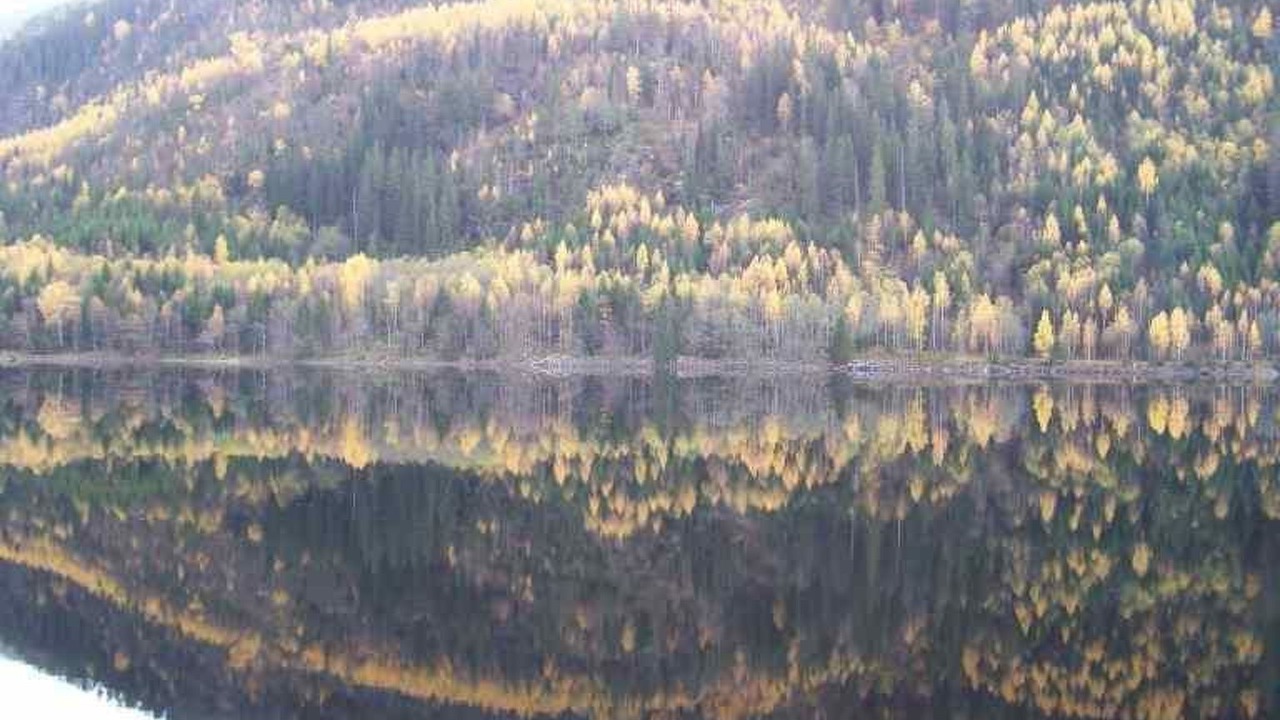 Photo of Others in Kviteseid