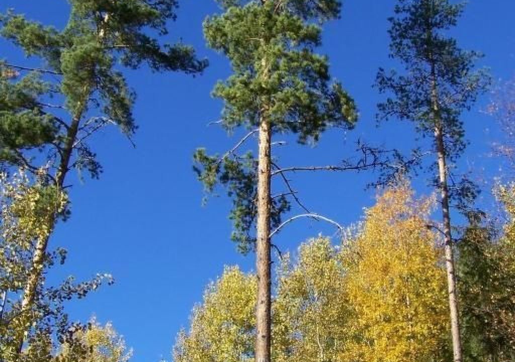 Photo of Others in Kviteseid