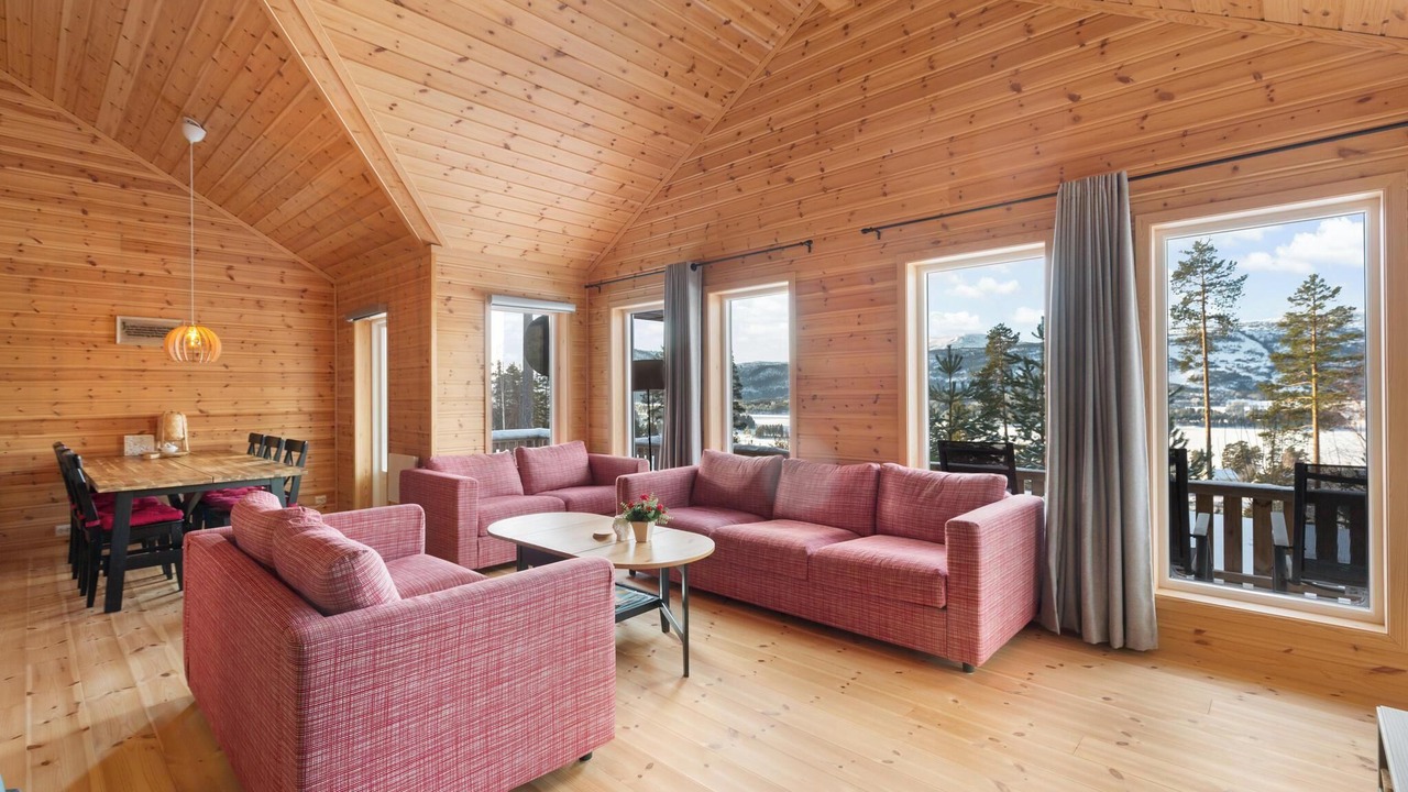 Photo of Livingroom in Vradal