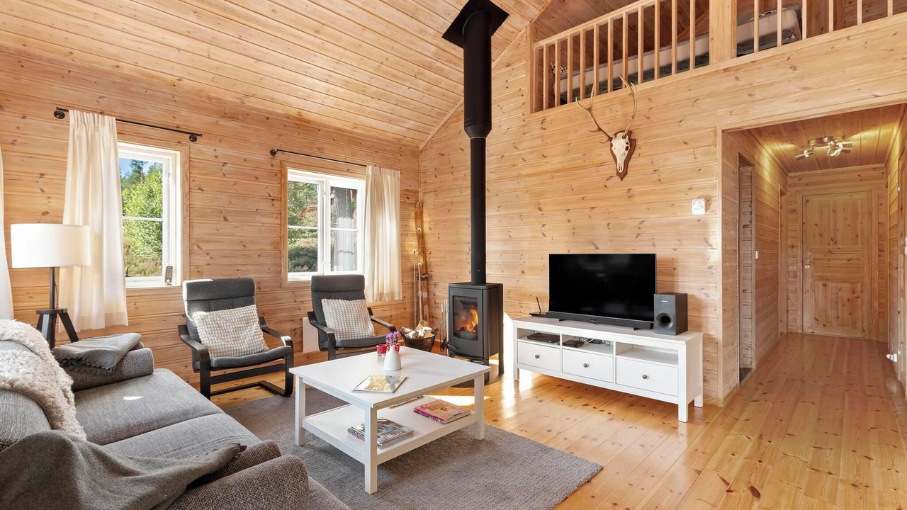Photo of Livingroom in Vradal