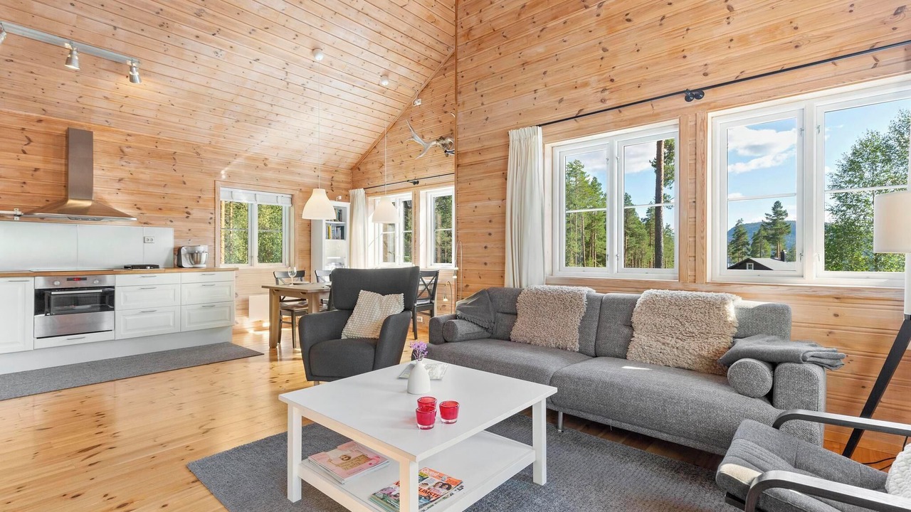 Photo of Livingroom in Vradal