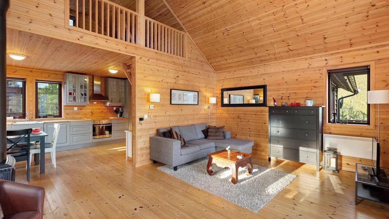 Photo of Livingroom in Vradal