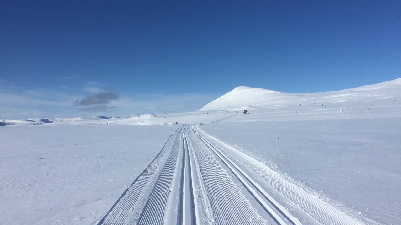 Photo of Others in Dovre