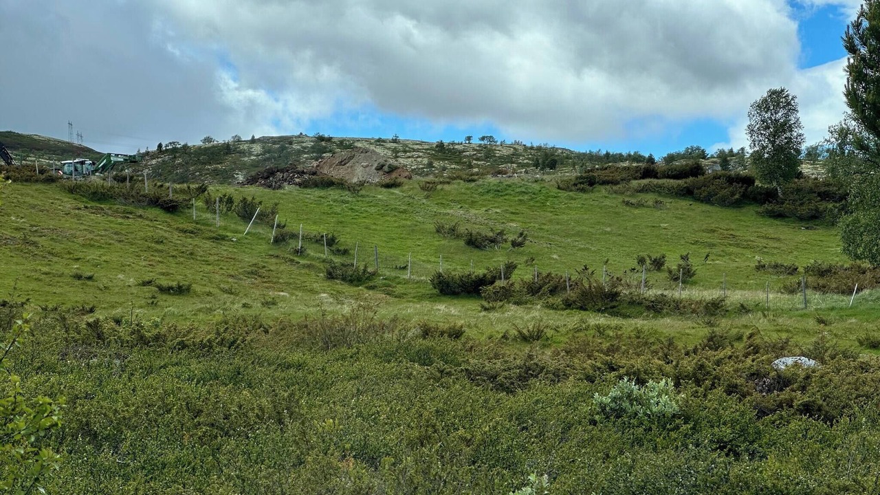 Photo of Others in Lesja
