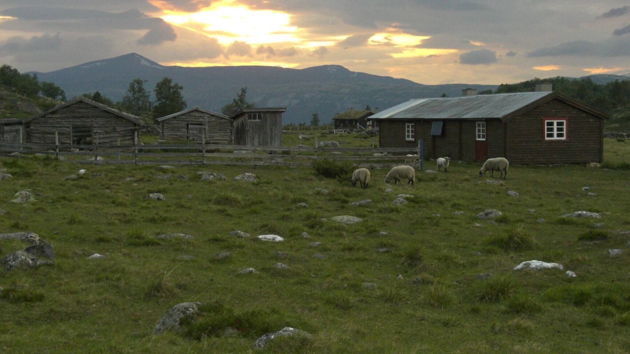 Photo of Others in Lesja