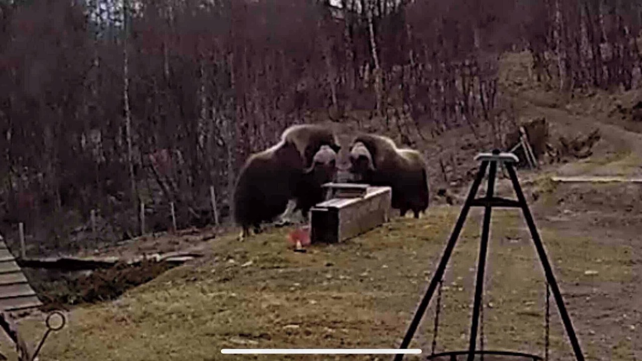 Photo of Others in Dovre