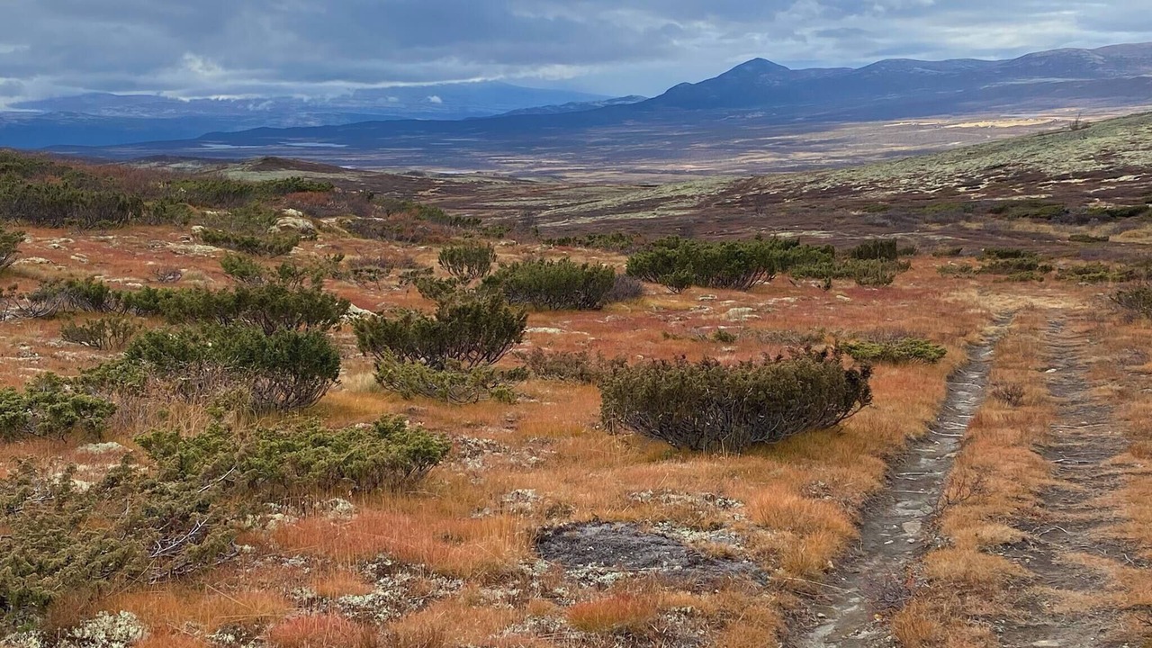 Photo of Others in Dovre
