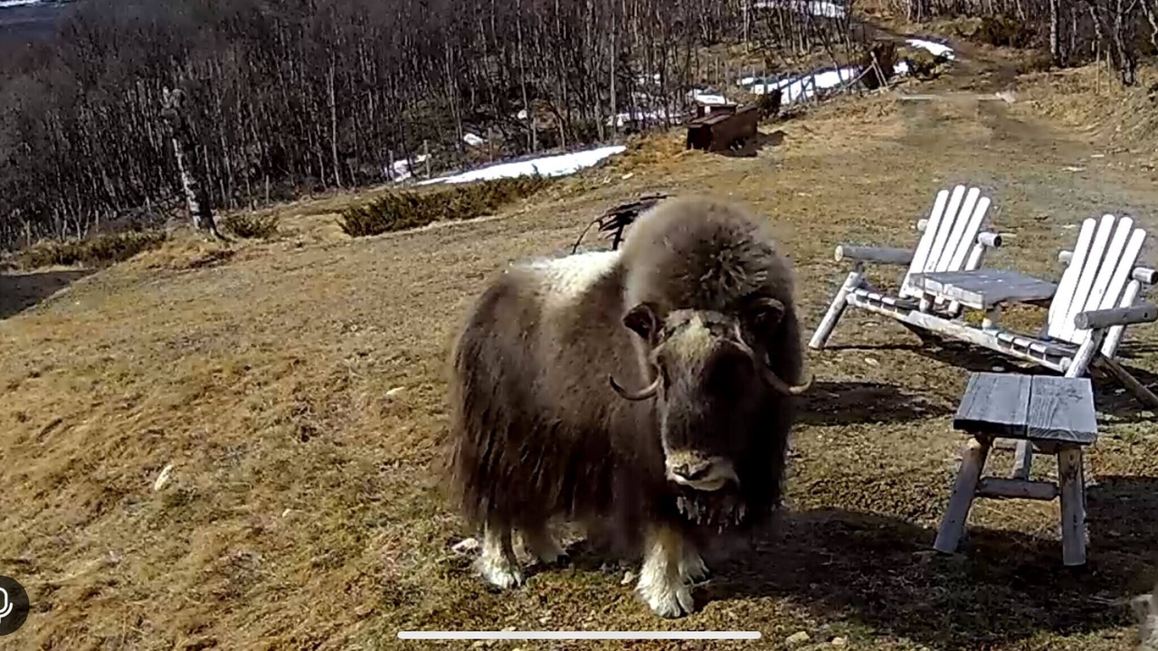 Photo of Others in Dovre