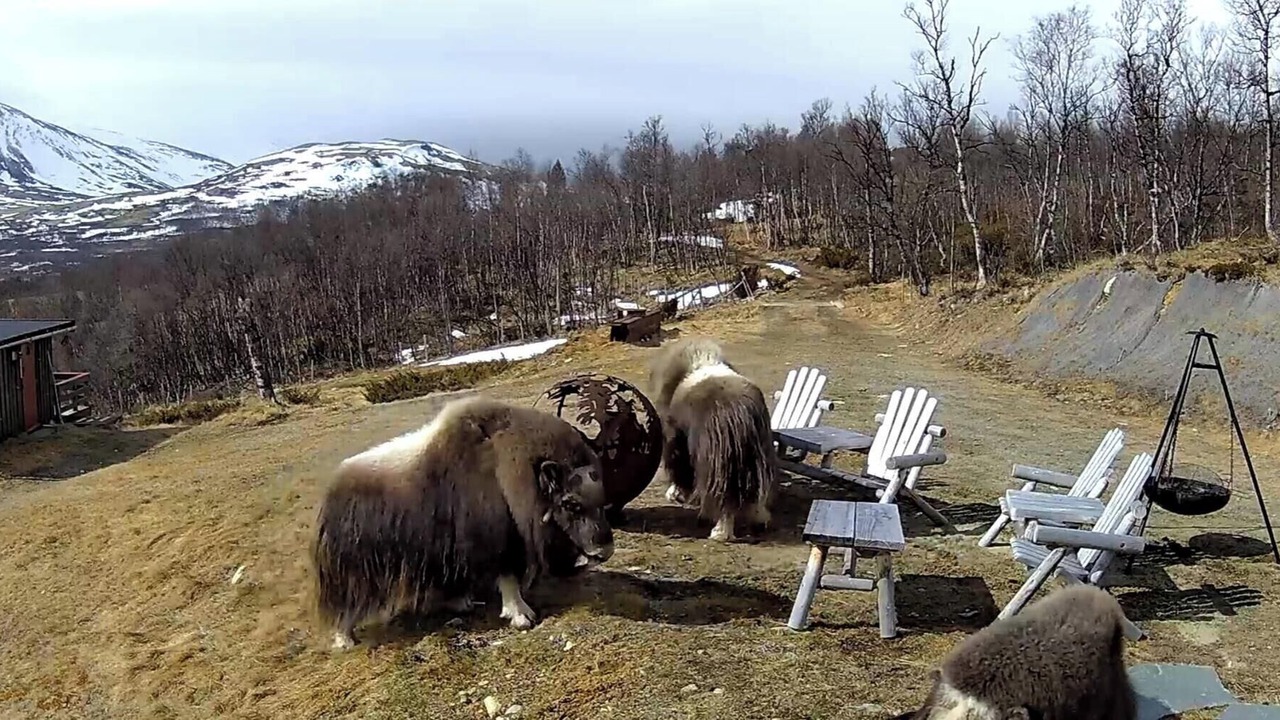 Photo of Outdoor in Dovre