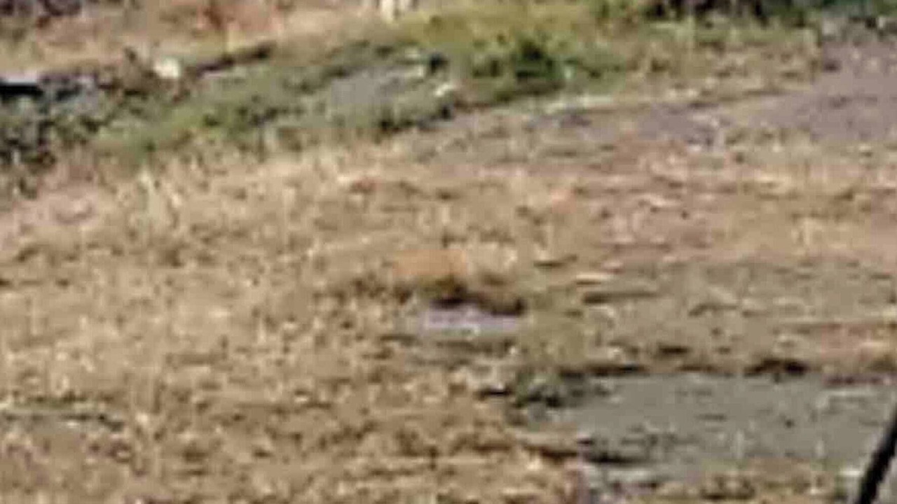 Photo of Others in Dovre