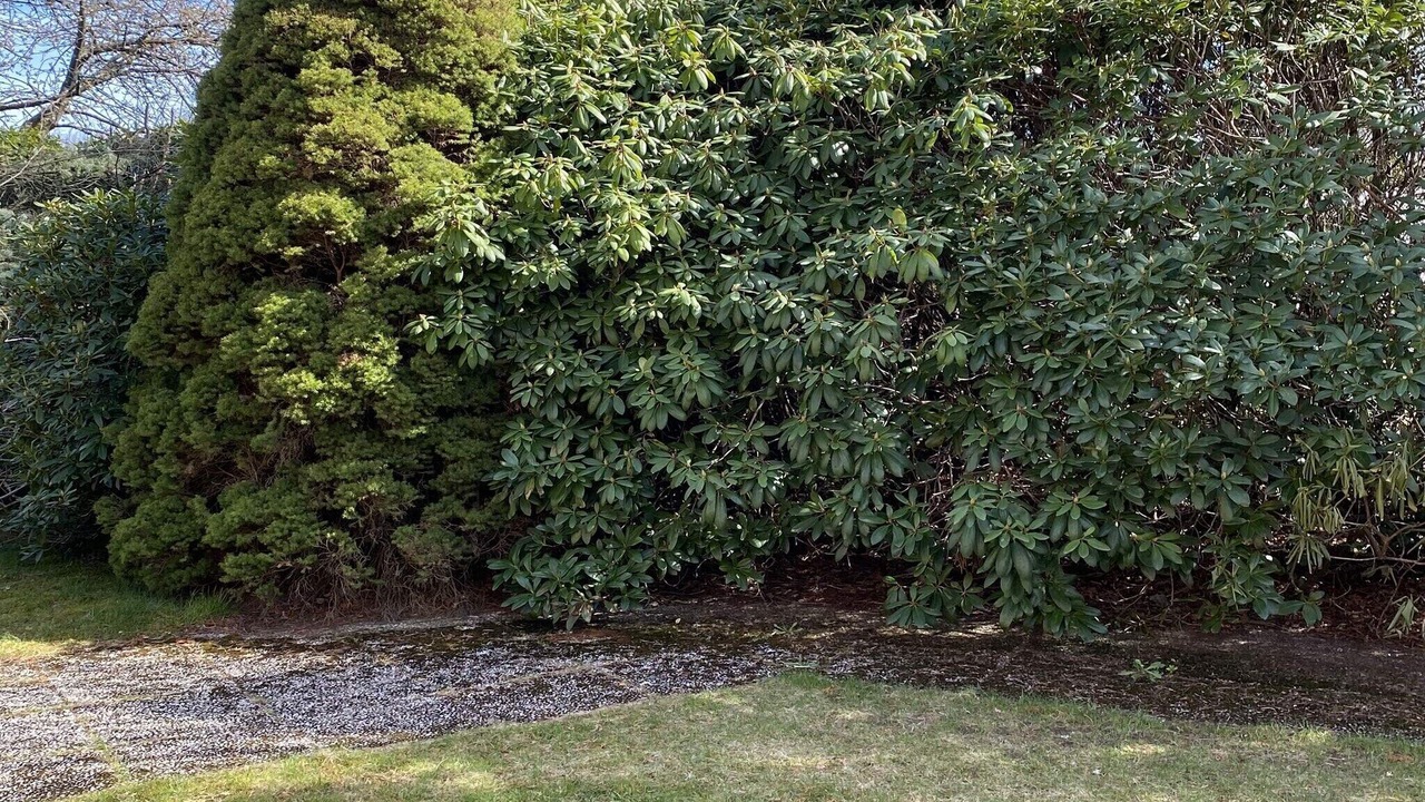 Photo of Outdoor in Sorhaga-Centrum