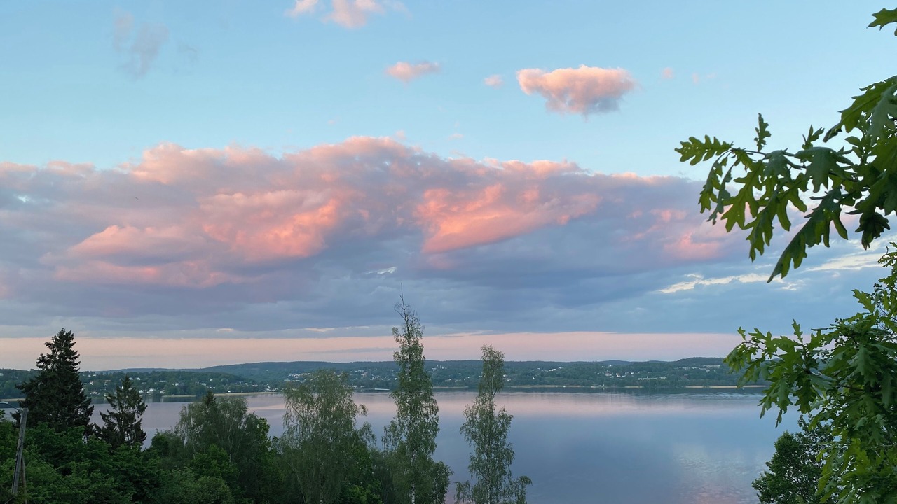 Photo of Others in Lugnvik