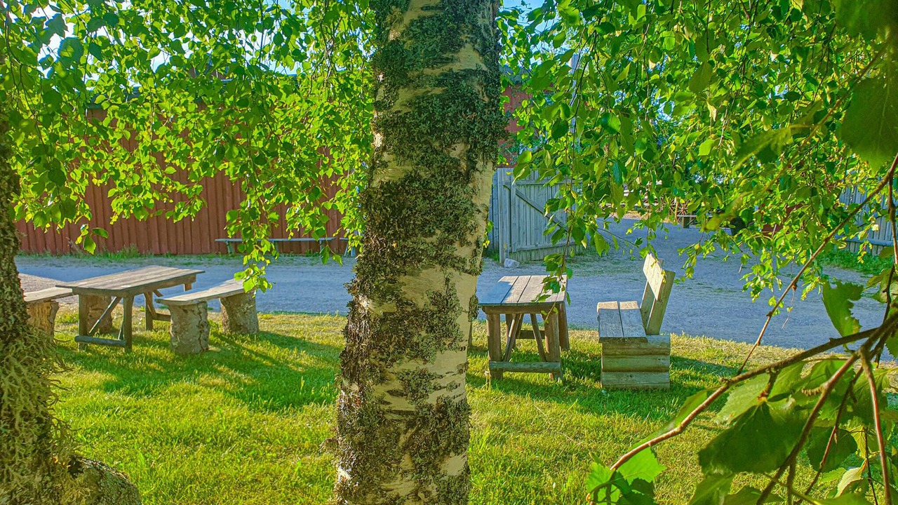 Photo of Others in Sandhem