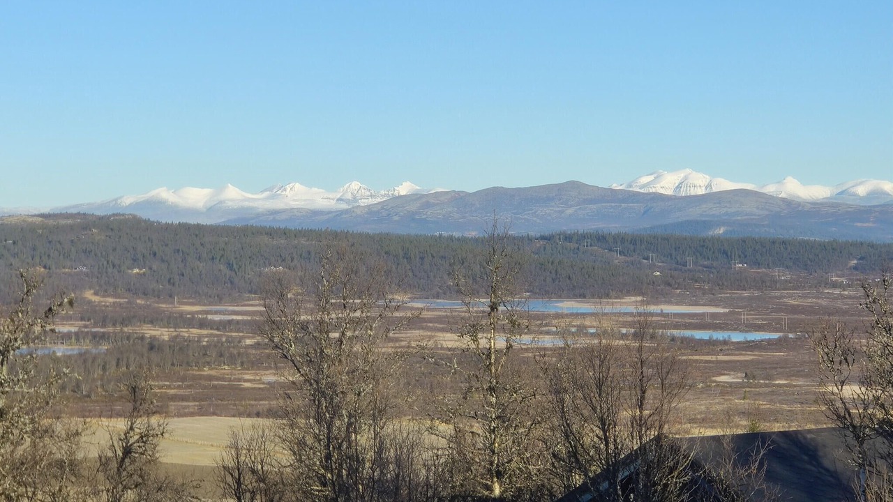 Photo of Others in Sor-Fron