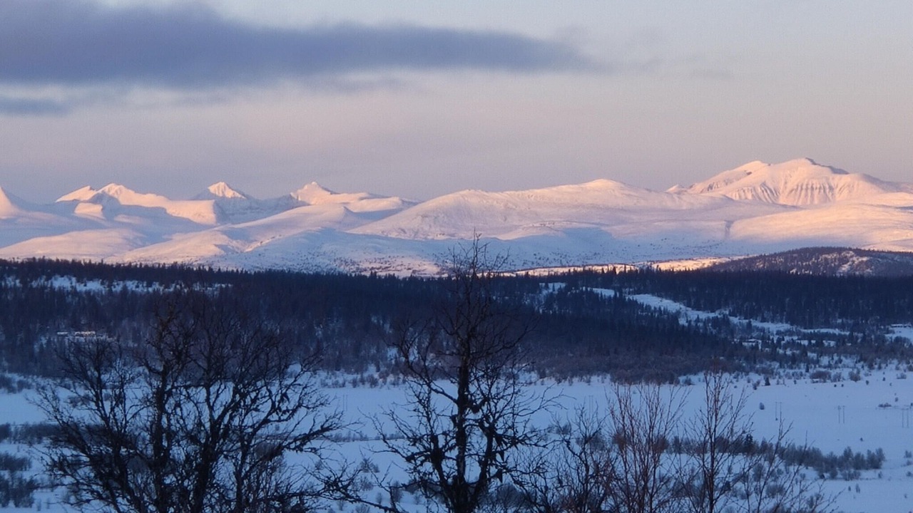 Photo of Others in Sor-Fron