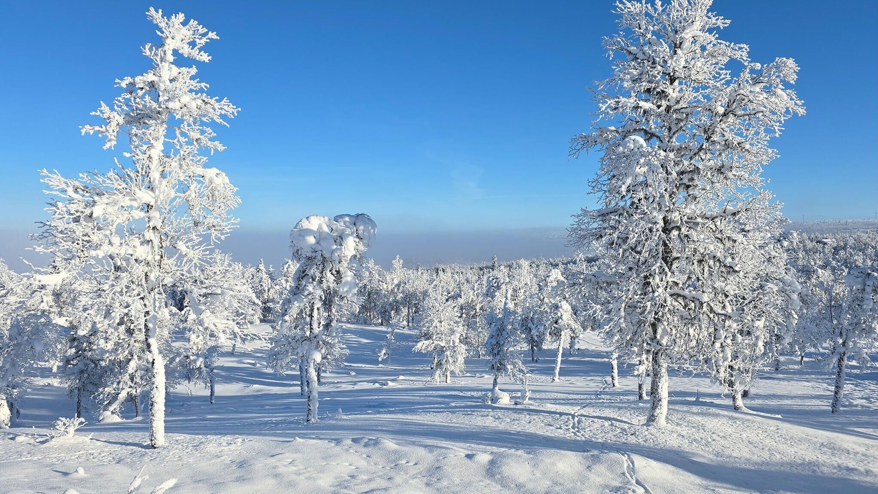 Photo of Others in Sor-Fron