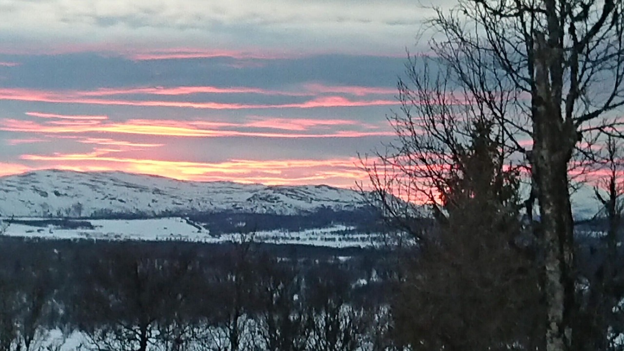 Photo of Others in Sor-Fron