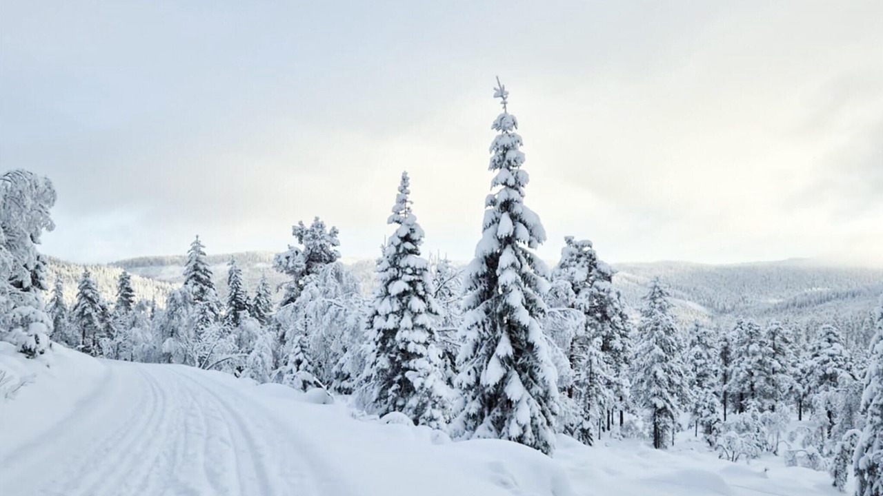 Photo of Others in Kongsberg