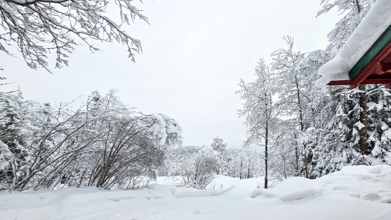 Photo of Others in Kongsberg