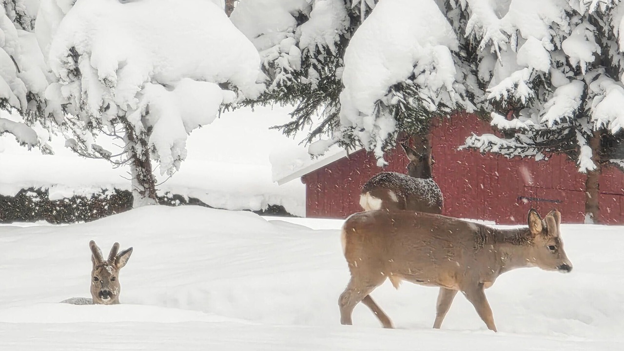 Photo of Others in Kongsberg