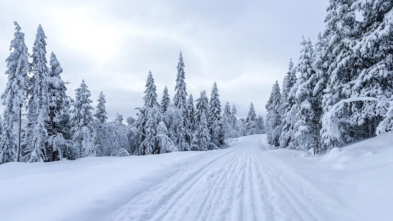 Photo of Others in Kongsberg