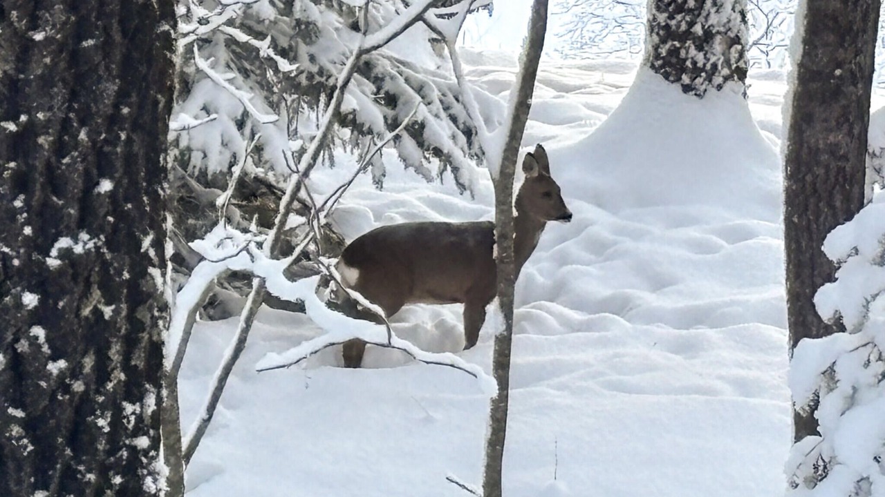Photo of Others in Kongsberg