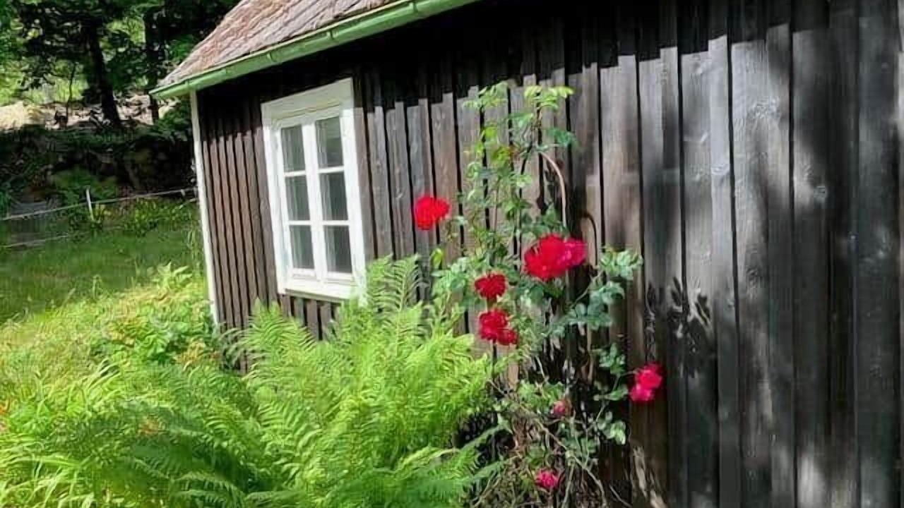 Photo of Outdoor in Kristianstad