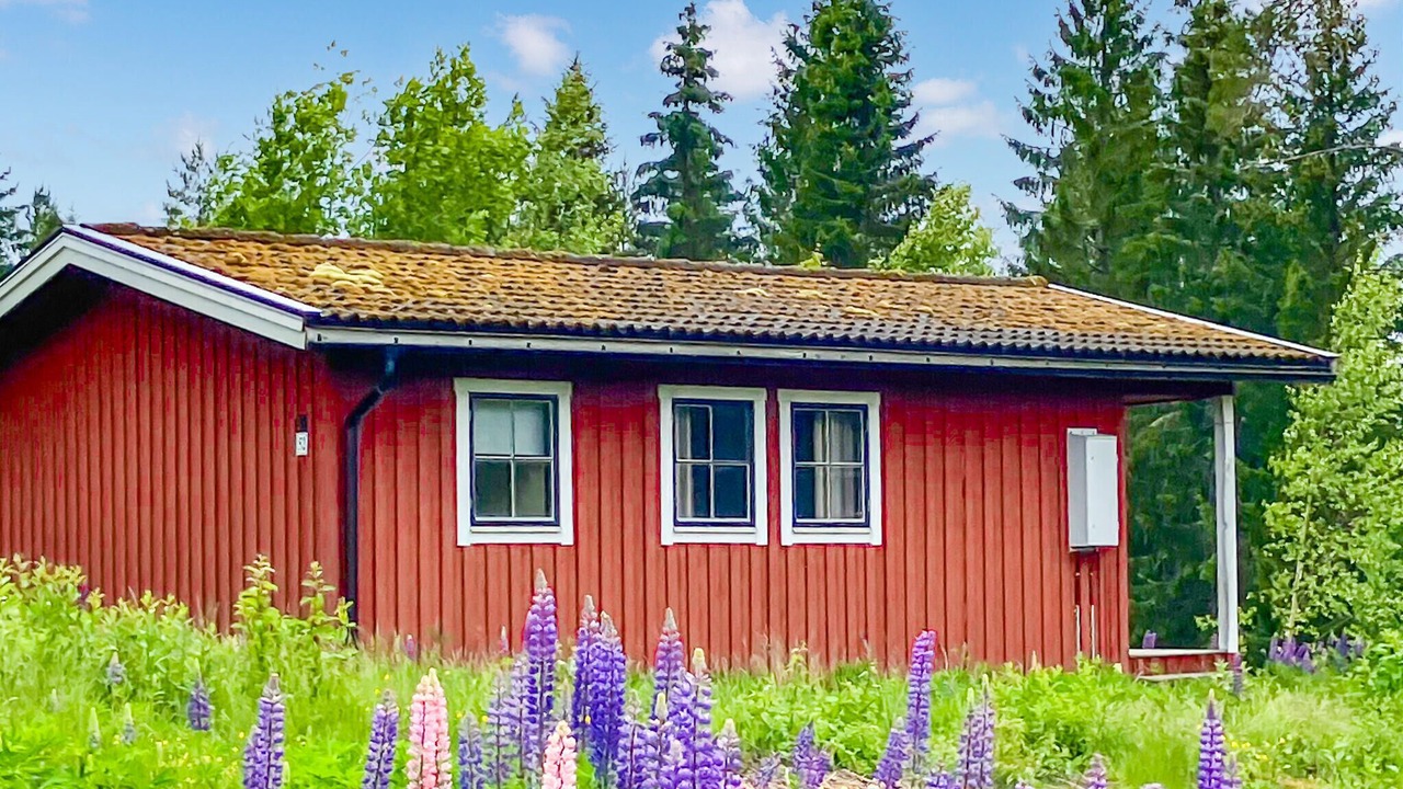 Photo of Others in Hagfors Municipality